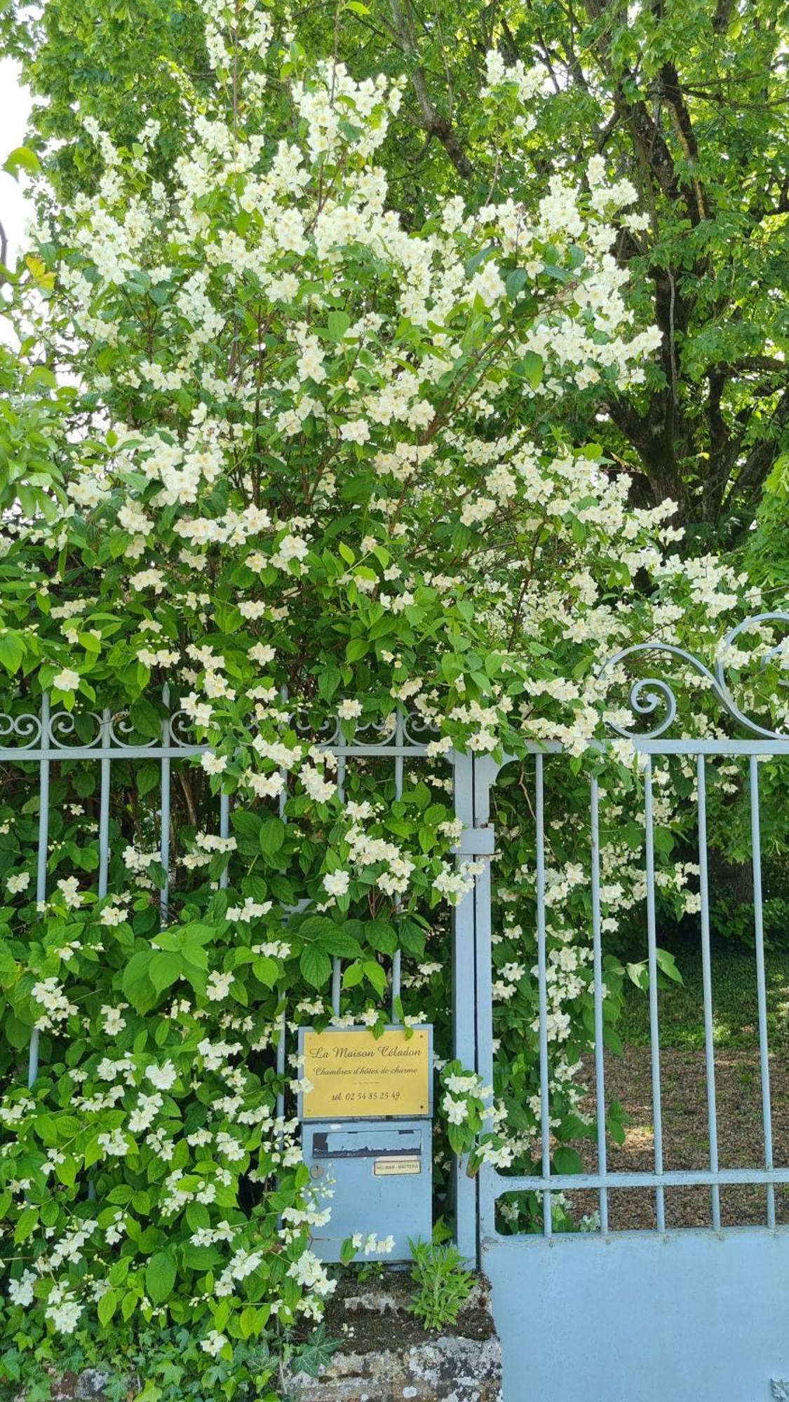 La Maison Celadon Prunay-Cassereau Buitenkant foto